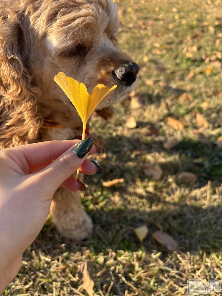 ��ë����Х��顦�����CLUB��Paladin(����֡��ѥ�ǥ���) �� �����11��17���̥�֥����֤����������