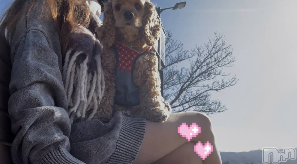 ��ë����Х��顦�����CLUB��Paladin(����֡��ѥ�ǥ���) �� �����12��3���̥�֥����֤���������🐾��