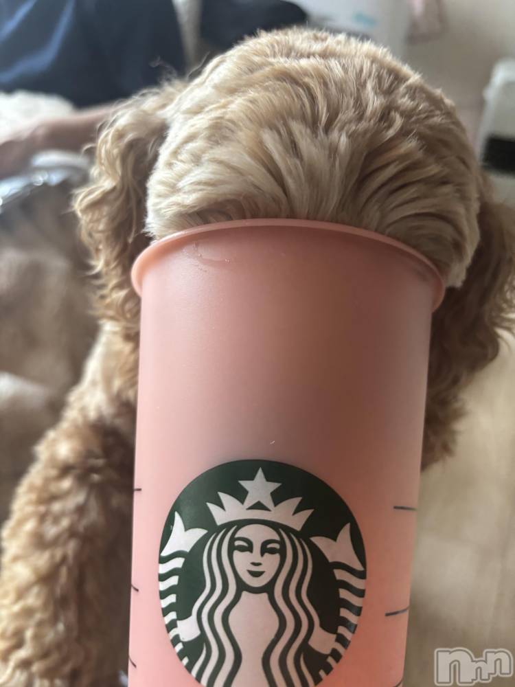 ��ë����Х��顦�����CLUB��Paladin(����֡��ѥ�ǥ���) �� �����12��29���̥�֥����ֺ��äƤޤ�🤦‍��️💘��