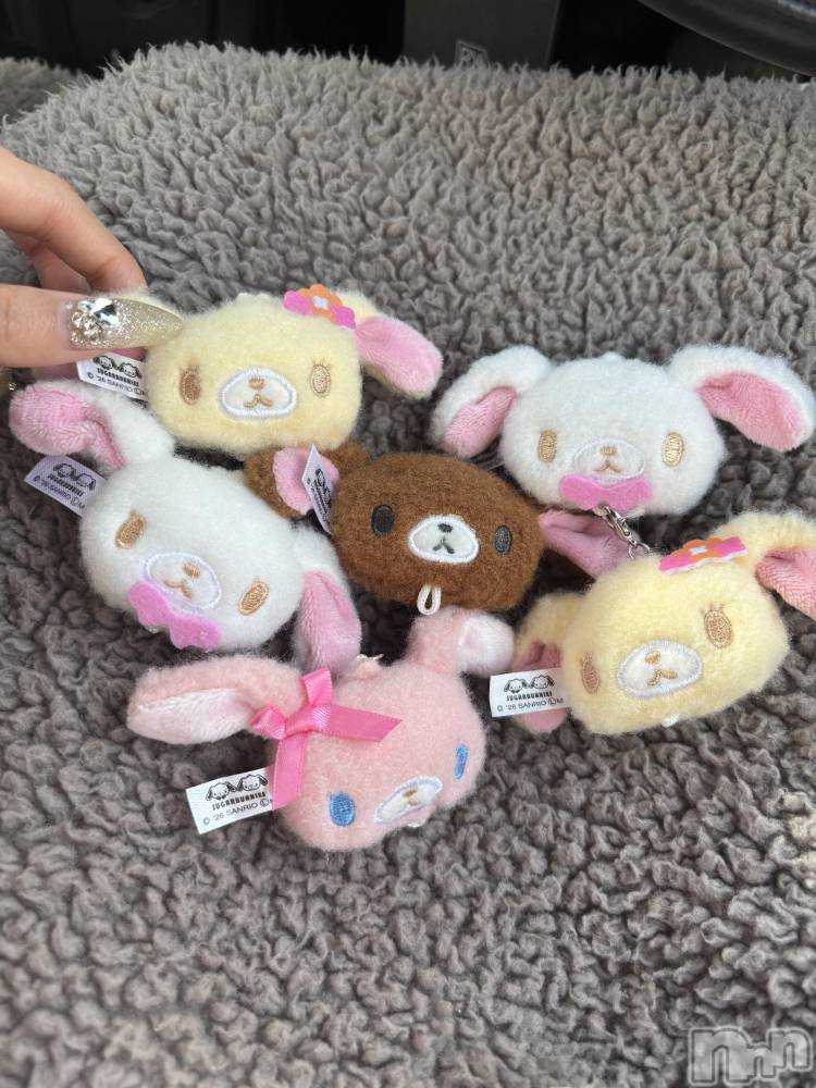 ��ë����Х��顦�����CLUB��Paladin(����֡��ѥ�ǥ���) �� �����2��7���̥�֥����֥���ץ꡼��🤩��