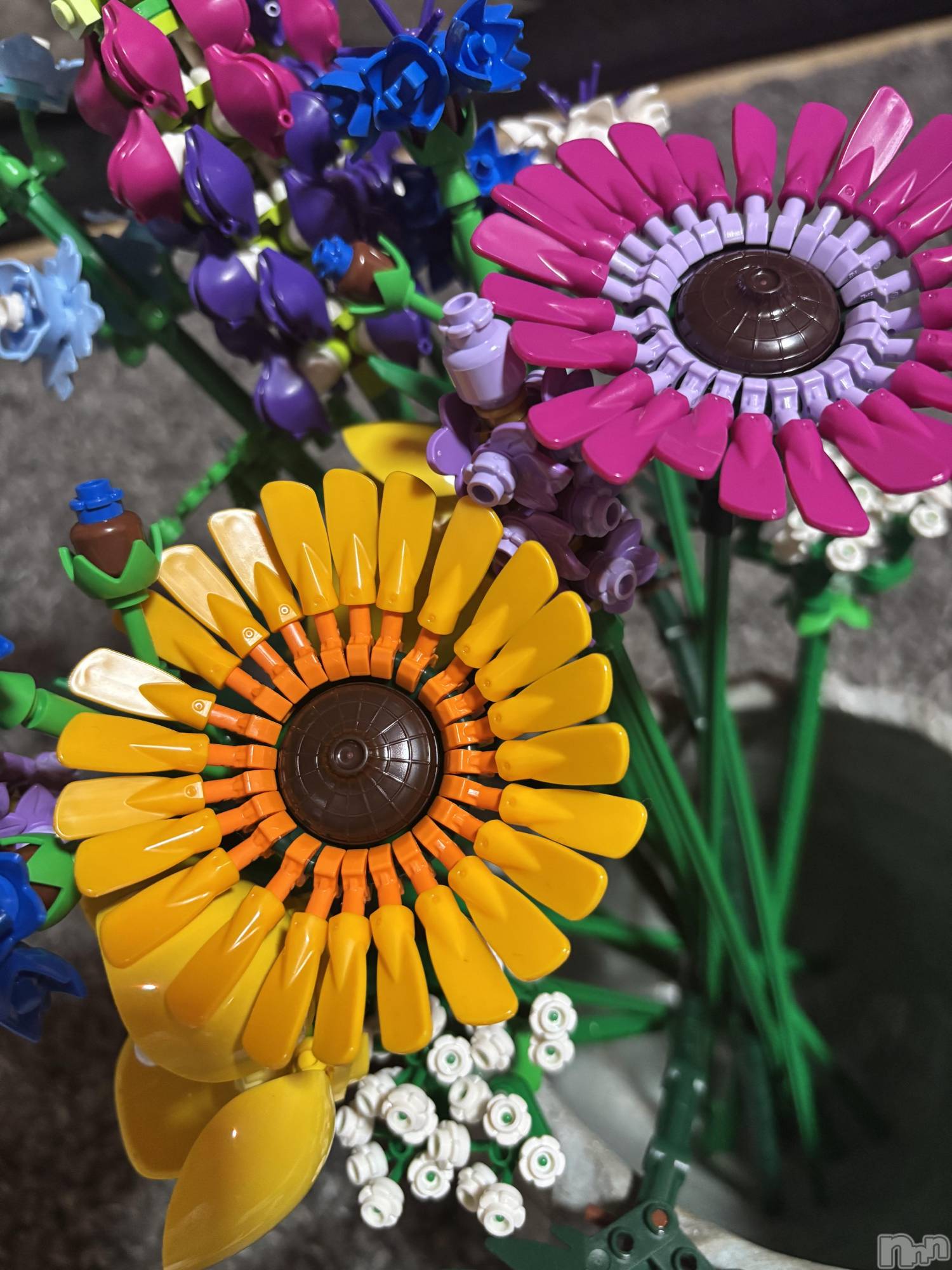 ��ë����Х��顦�����CLUB��Paladin(����֡��ѥ�ǥ���) ��2025ǯ4��10���̥�֥�����🧩��