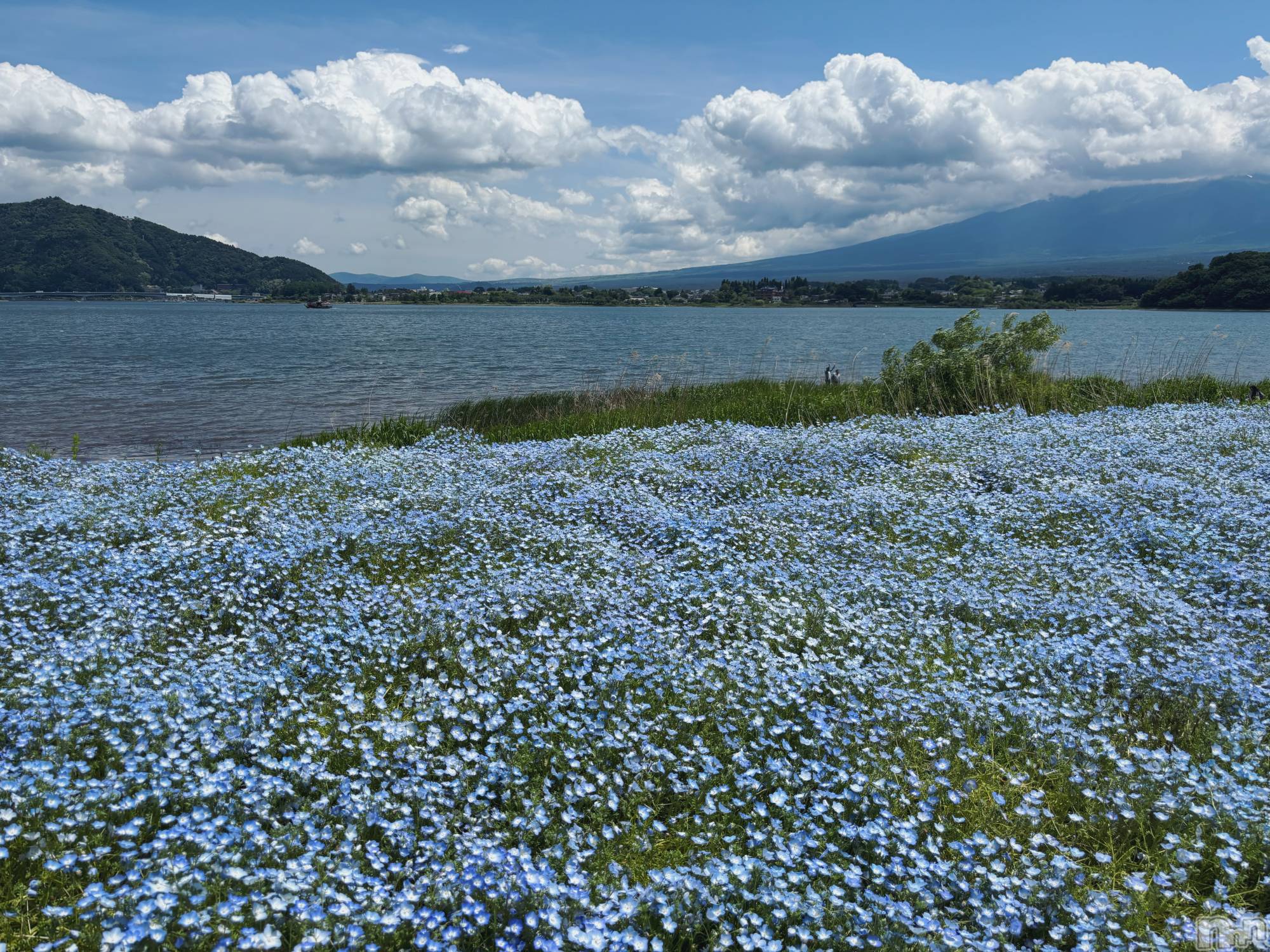 ��ë����Х��顦�����CLUB��Paladin(����֡��ѥ�ǥ���) ��2025ǯ5��30���̥�֥����֥ͥ�ե���Ȫ✿︎��