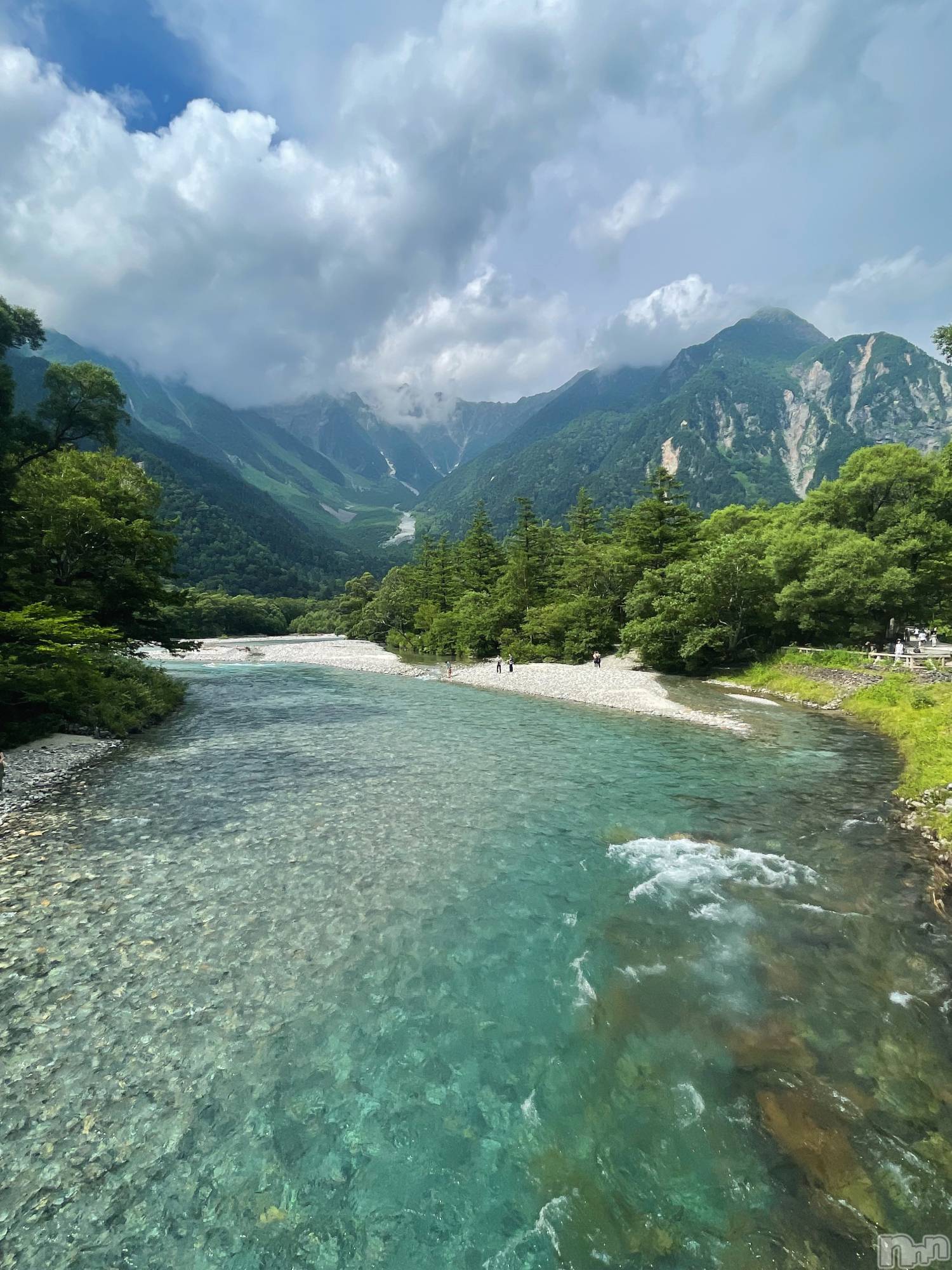 ��ë����Х��顦�����CLUB��Paladin(����֡��ѥ�ǥ���) ��2025ǯ8��21���̥�֥����ּ�������🌳��