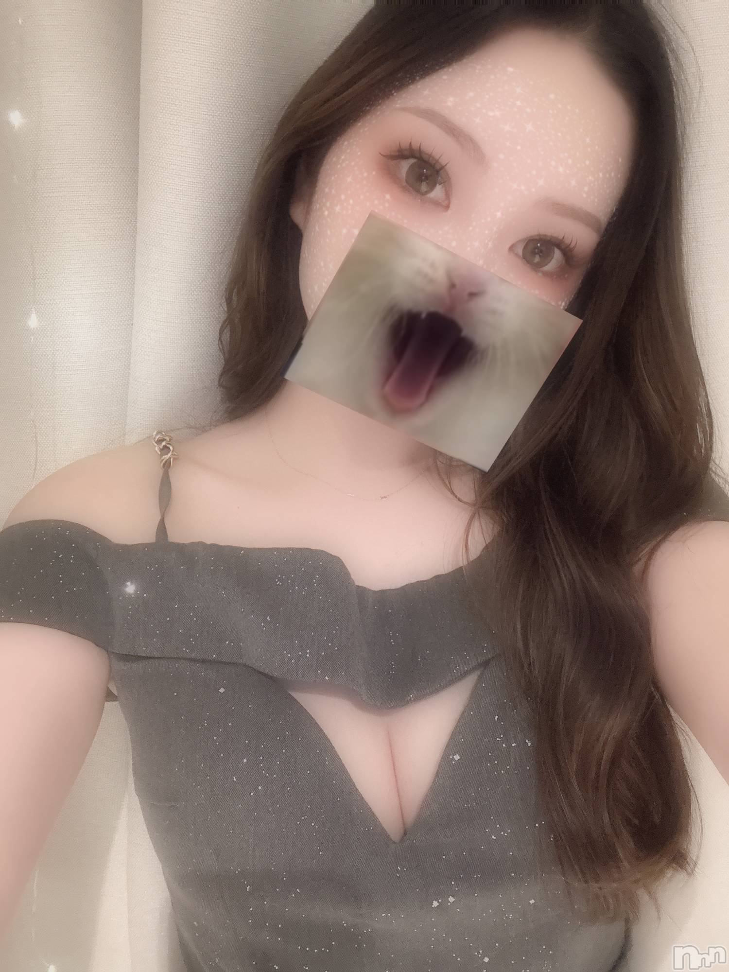 ��ë����Х��顦�����CLUB��Paladin(����֡��ѥ�ǥ���) ��2025ǯ8��25���̥�֥�������������ˤ��🐈🐾��