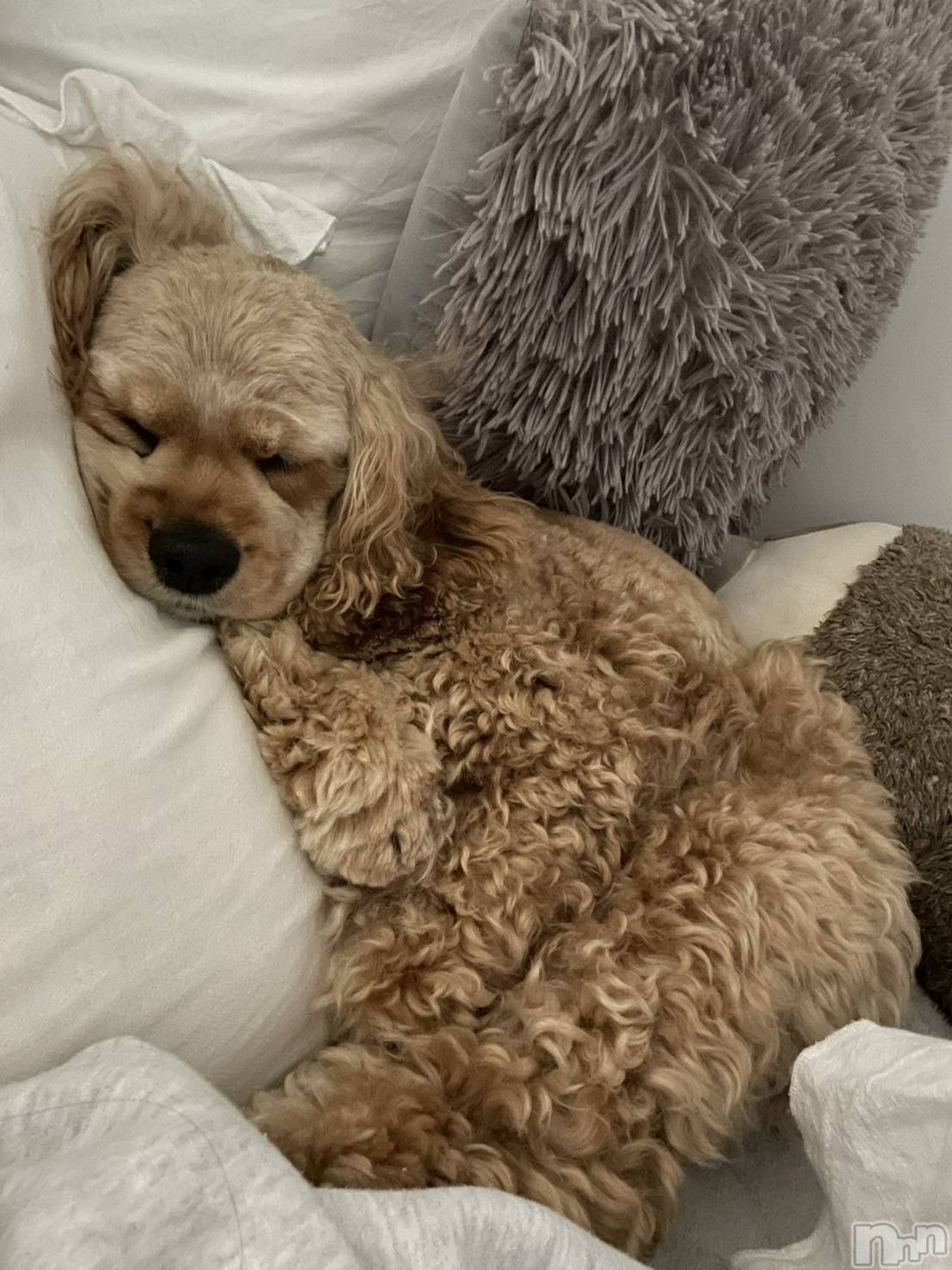 ��ë����Х��顦�����CLUB��Paladin(����֡��ѥ�ǥ���) ��2025ǯ10��13���̥�֥�����10��13�� 12��35ʬ�Υ֥�����