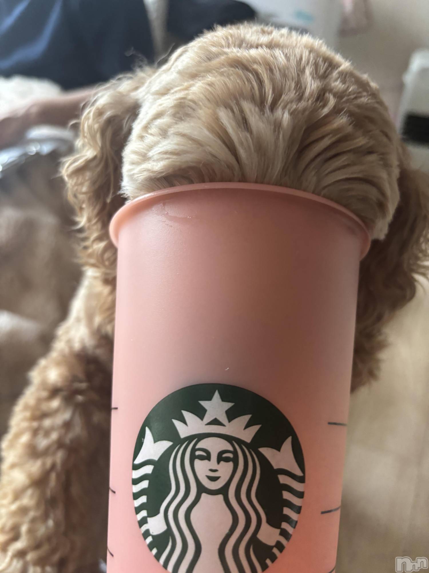 ��ë����Х��顦�����CLUB��Paladin(����֡��ѥ�ǥ���) ��2025ǯ12��29���̥�֥����ֺ��äƤޤ�🤦‍��️💘��