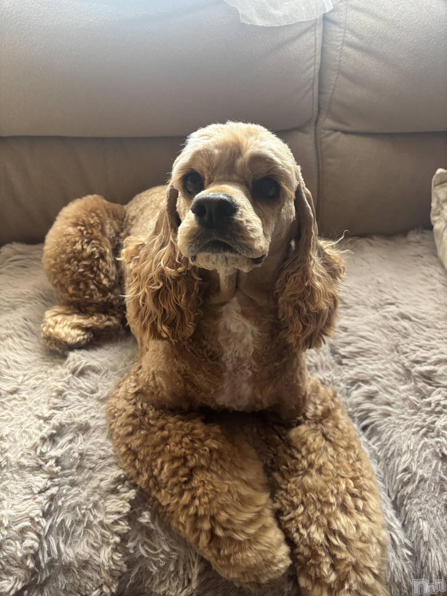 ��ë����Х��顦�����CLUB��Paladin(����֡��ѥ�ǥ���) ��2026ǯ2��8���̥�֥�����⛄️❄️��