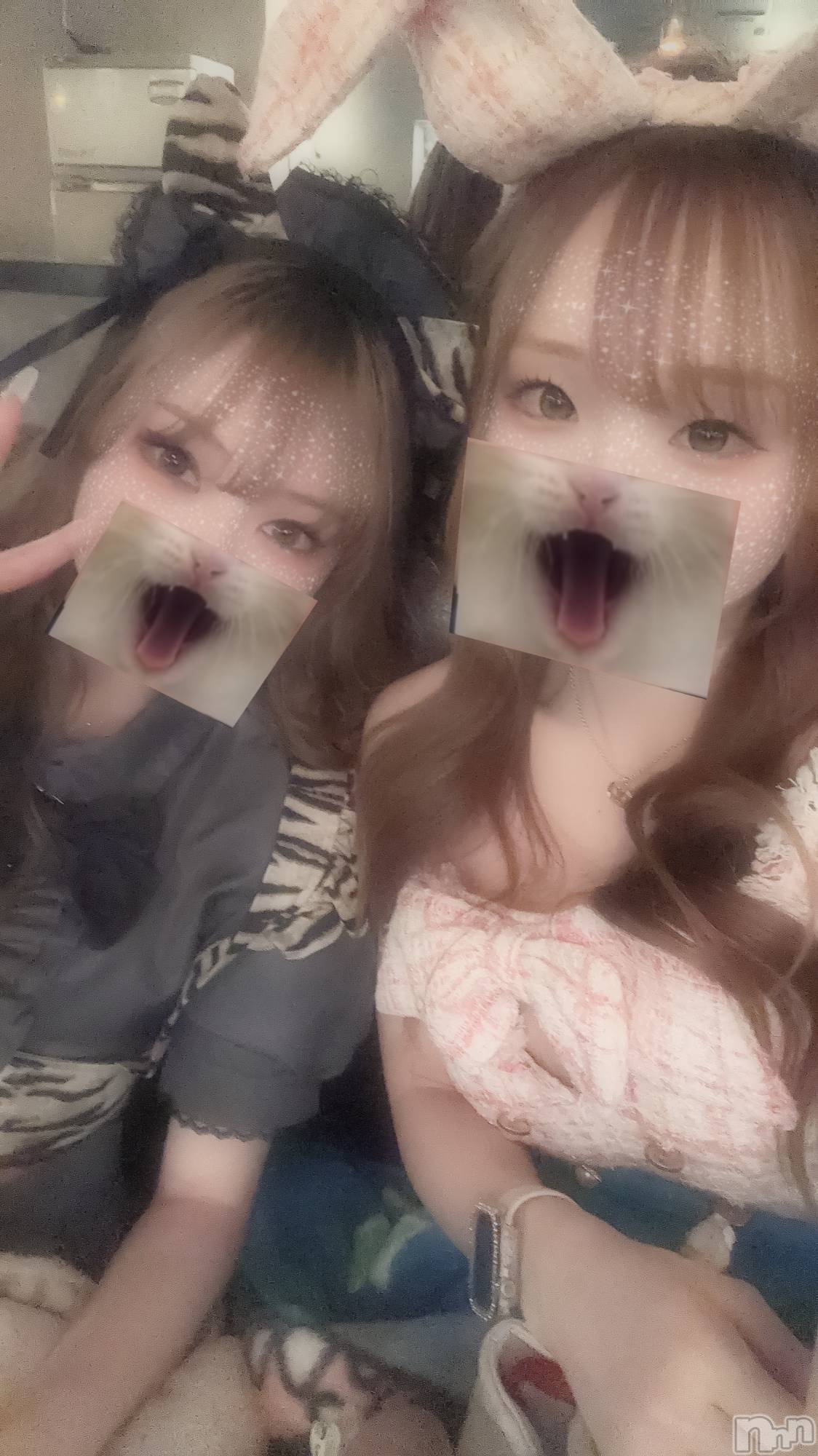 ��ë����Х��顦�����CLUB��Paladin(����֡��ѥ�ǥ���) ��2026ǯ2��14���̥�֥�����🐅🐇💘��