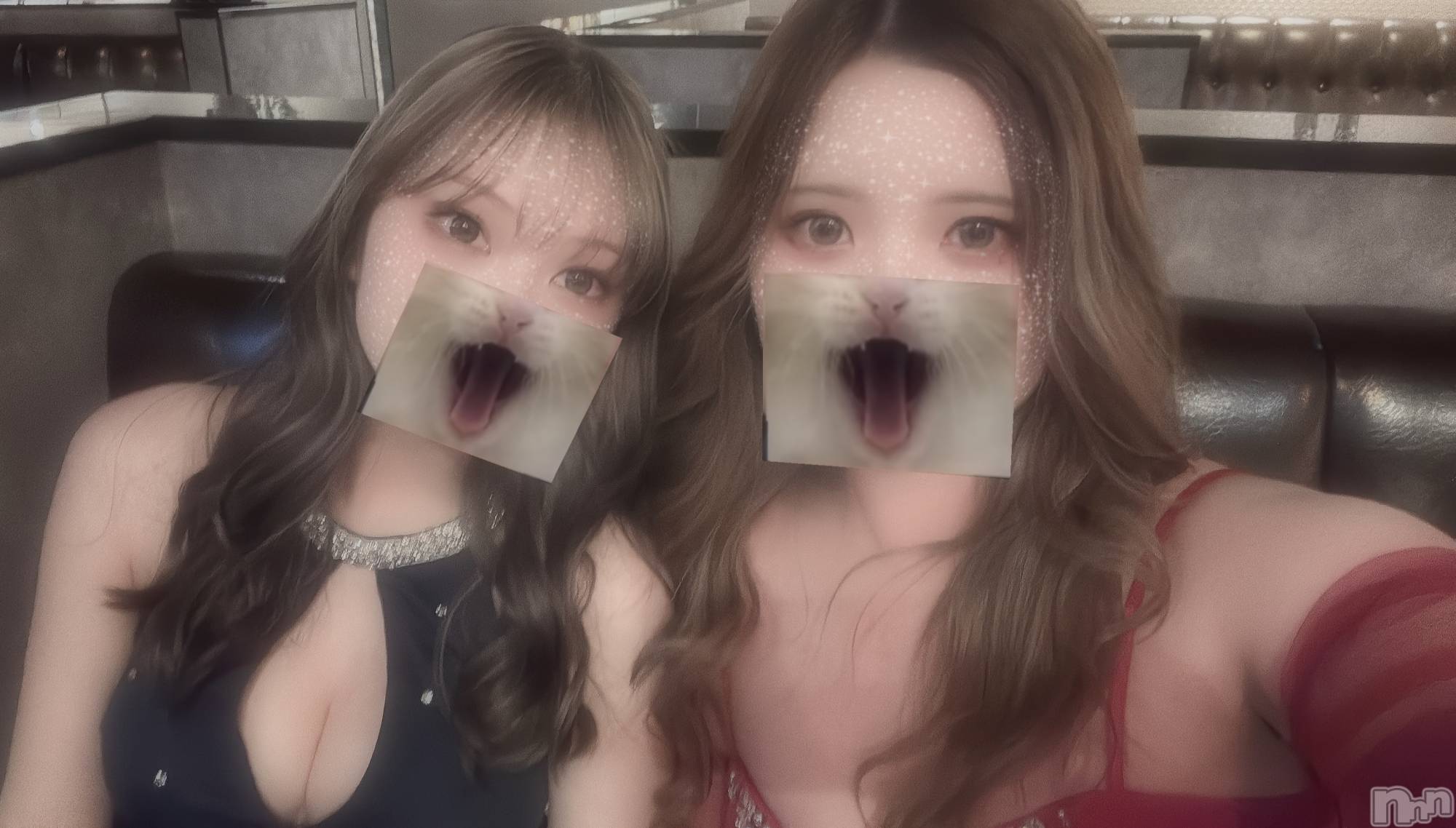 ��ë����Х��顦�����CLUB��Paladin(����֡��ѥ�ǥ���) ��2026ǯ3��13���̥�֥�����🩵💘��