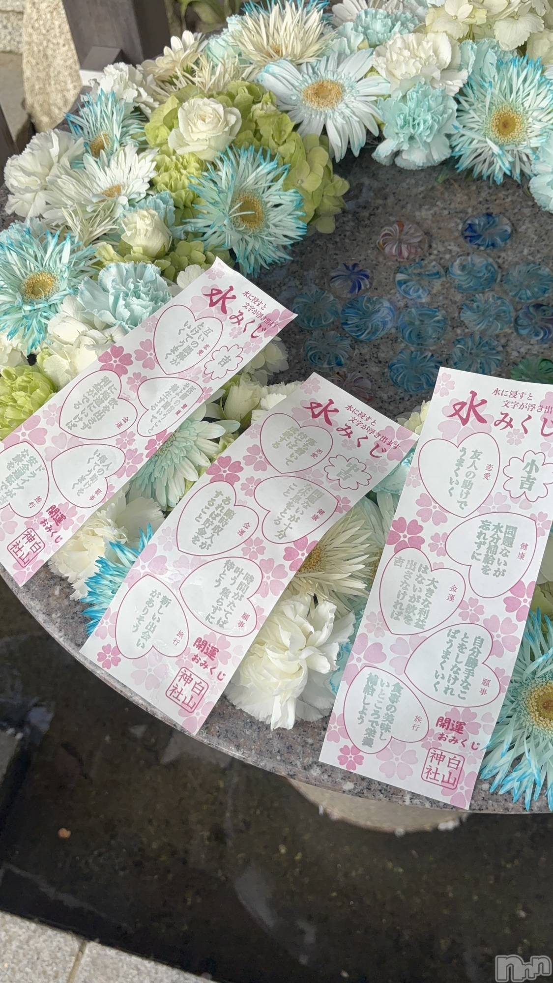 ��ë����Х��顦�����CLUB��Paladin(����֡��ѥ�ǥ���) ��2026ǯ4��22���̥�֥�����🌼💧*����