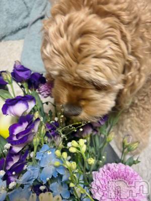 ��ë����Х��顦�����CLUB��Paladin(����֡��ѥ�ǥ���) �� ����(22)��3��18���̥�֥�����🐩🌼.*��