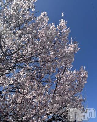 ��ë����Х��顦�����CLUB��Paladin(����֡��ѥ�ǥ���) �� ����(22)��4��9���̥�֥�����🌸��