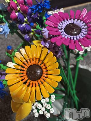 ��ë����Х��顦�����CLUB��Paladin(����֡��ѥ�ǥ���) �� ����(22)��4��10���̥�֥�����🧩��