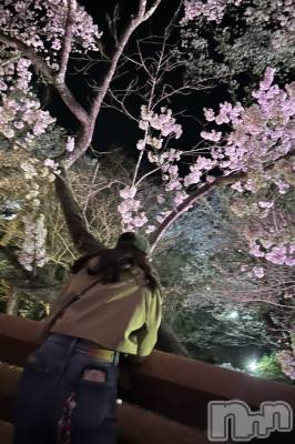 ��ë����Х��顦�����CLUB��Paladin(����֡��ѥ�ǥ���) �� ����(22)��4��17���̥�֥�����🌃🌸��