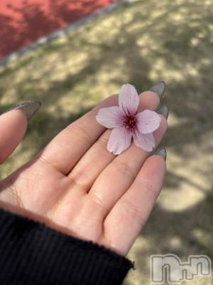 ��ë����Х��顦�����CLUB��Paladin(����֡��ѥ�ǥ���) �� ����(22)��4��30���̥�֥�����4��饹�ȡ�