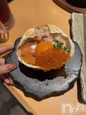 ��ë����Х��顦�����CLUB��Paladin(����֡��ѥ�ǥ���) �� ����(22)��5��19���̥�֥����֤�Ф�����������������