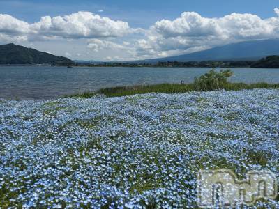 ��ë����Х��顦�����CLUB��Paladin(����֡��ѥ�ǥ���) �� ����(22)��5��30���̥�֥����֥ͥ�ե���Ȫ✿︎��