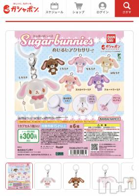 ��ë����Х��顦�����CLUB��Paladin(����֡��ѥ�ǥ���) �� ����(22)��8��18���̥�֥��������������