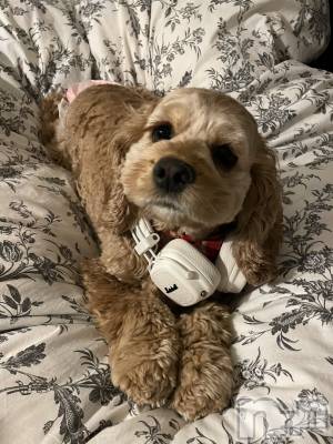 ��ë����Х��顦�����CLUB��Paladin(����֡��ѥ�ǥ���) �� ����(22)��9��20���̥�֥����ְ���💘��