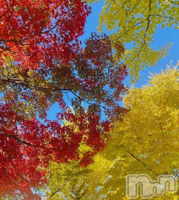 ��ë����Х��顦�����CLUB��Paladin(����֡��ѥ�ǥ���) �� ����(22)��11��5���̥�֥����ֽ�����🍁✨��