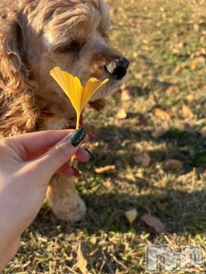 ��ë����Х��顦�����CLUB��Paladin(����֡��ѥ�ǥ���) �� ����(22)��11��17���̥�֥����֤����������