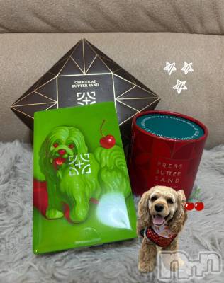 ��ë����Х��顦�����CLUB��Paladin(����֡��ѥ�ǥ���) �� ����(22)��11��29���̥�֥����ִ򤷤�😘��