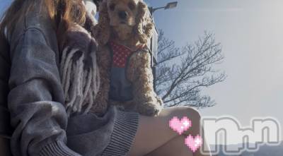 ��ë����Х��顦�����CLUB��Paladin(����֡��ѥ�ǥ���) �� ����(22)��12��3���̥�֥����֤���������🐾��