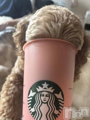 ��ë����Х��顦�����CLUB��Paladin(����֡��ѥ�ǥ���) �� ����(22)��12��29���̥�֥����ֺ��äƤޤ�🤦‍��️💘��