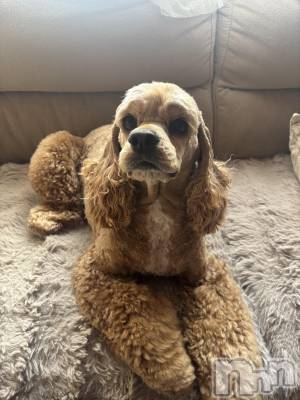 ��ë����Х��顦�����CLUB��Paladin(����֡��ѥ�ǥ���) ������(22)��2��8���̥�֥�����⛄️❄️��