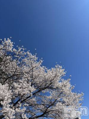 ��ë����Х��顦�����CLUB��Paladin(����֡��ѥ�ǥ���) ������(22)��4��8���̥�֥�����🌸🍃��