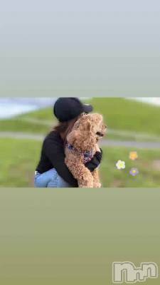 🐩🍃