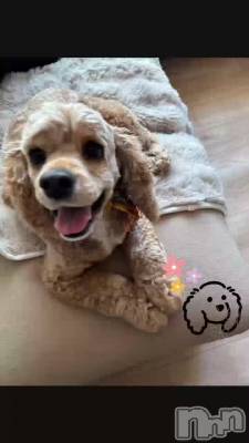 ����嵐����> ₃ <