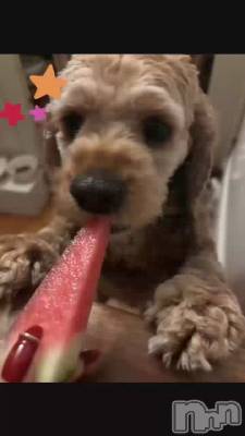 ���襤������