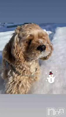 �ܳ�Ū��❄️