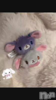🐇
