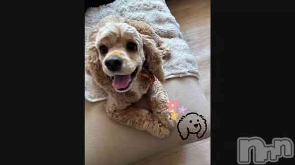 �֤���嵐����> ₃ <��