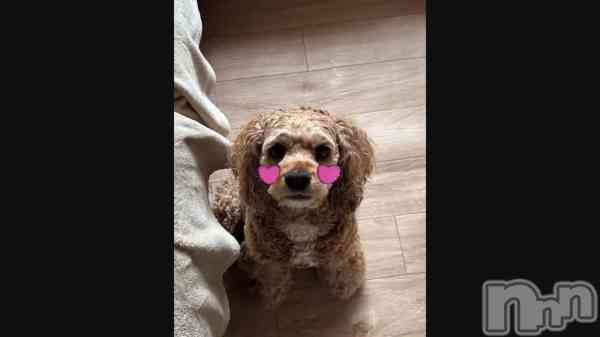 ��🐶🐾��