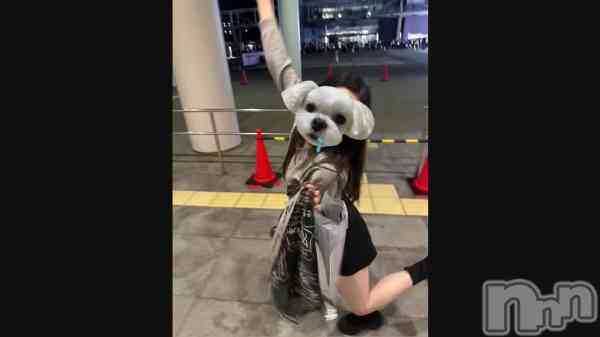 ��🎤🌟��