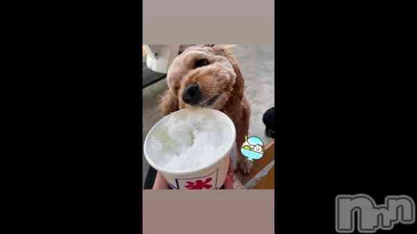 �ֲơ�🧊❄️��