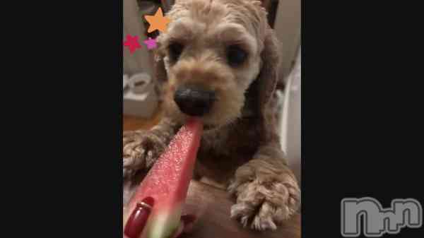 �֤��襤��������