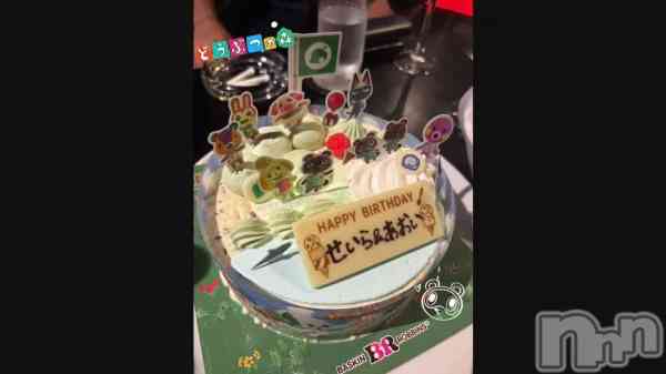 ��🎂🌳🍎🍐��