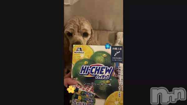 �֤��꤬��🌺��