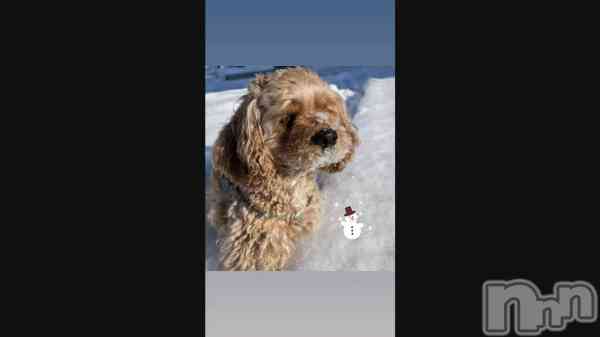 ���ܳ�Ū��❄️��