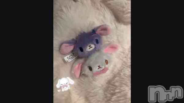 ��🐇��