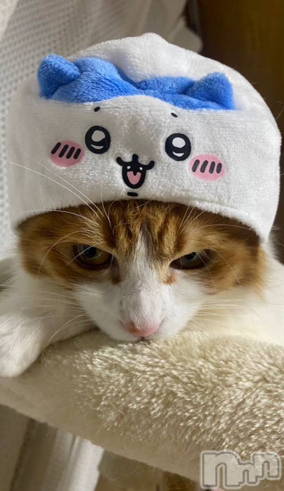 åȥСBar.Re(С륤) 326̥֥֤ࡼ🐈
