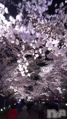 🌸
