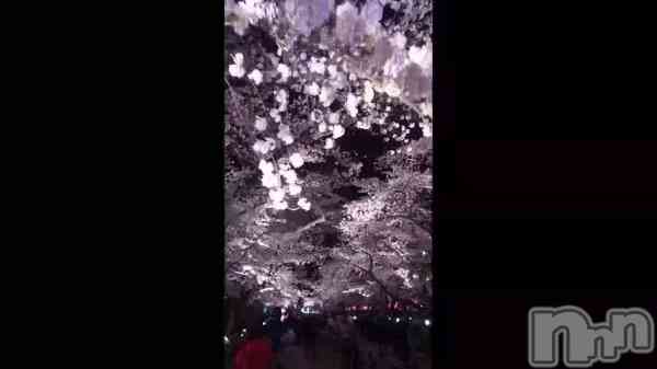 ֤&#x1F338;