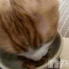 せいやの最新ブログ「むーちゃむ」