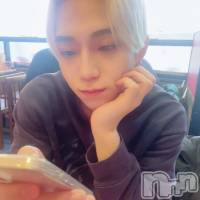 せいや さんのプロフィール画像