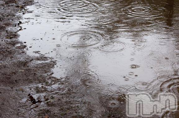 新潟ソープ新潟バニーコレクション(ニイガタバニーコレクション) ミイ(20)の3月14日写メブログ「本当に申し訳ありません」